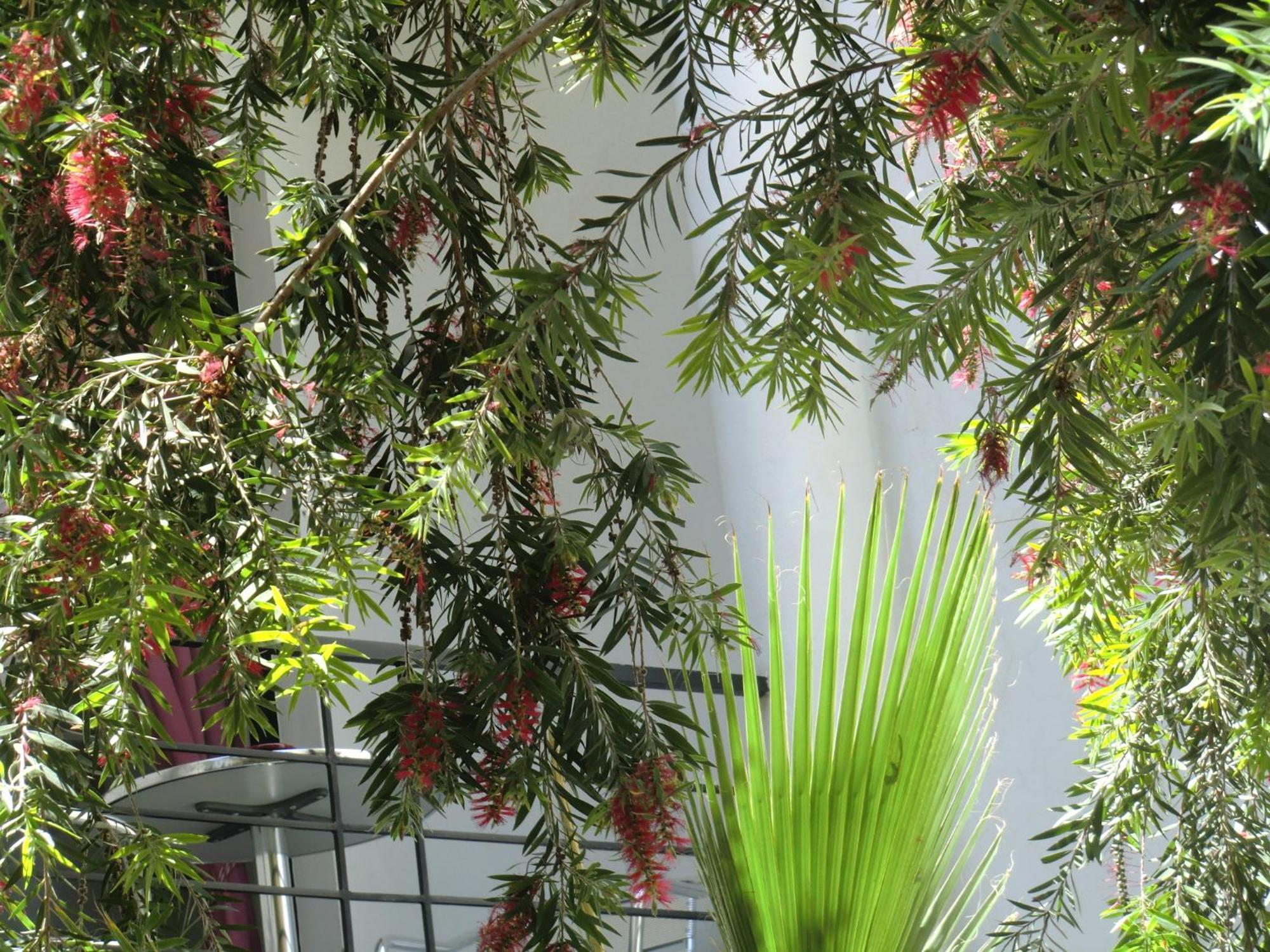 Riad Tchina Marrakesh Exterior foto